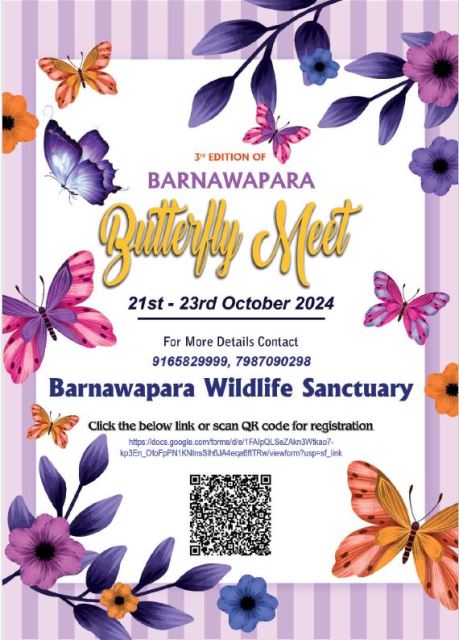 baranwarpara-butterfly-meet-2024