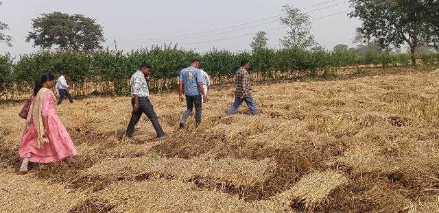 धमतरी के तरसींवा केन्द्र में 90.80 क्विंटल धान जब्त, कोचिया से मिली भगत कर पुराना मिक्स धान बेचने का मामला