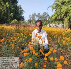 जशपुर : किसान लक्ष्मण गेंदा फूल की खेती से कमा रहे अच्छा लाभ