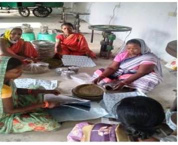 जशपुर: विशेष पिछड़ी जनजाति की लखपति दीदी लीलावती बाई समुदाय के लिए बनी प्ररेणा