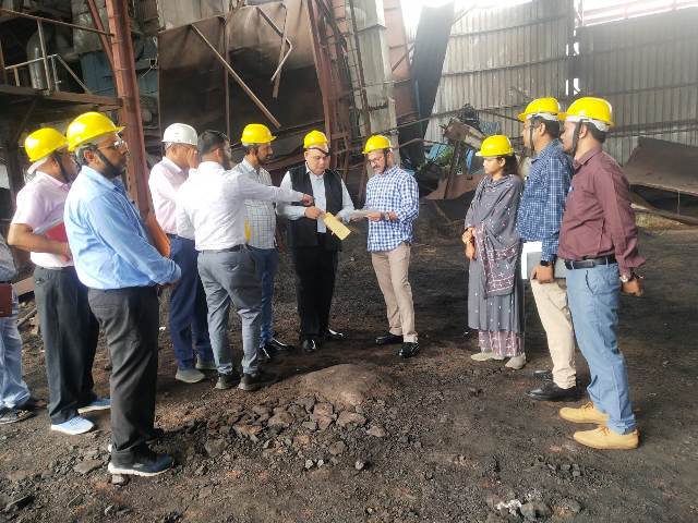 sarguja-plant-hadsa-2024