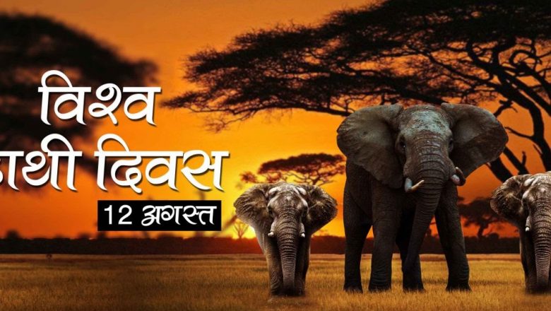 छत्तीसगढ़ के मुख्यमंत्री के प्रयास से विश्व हाथी दिवस का आयोजन रायपुर में 12 अगस्त को