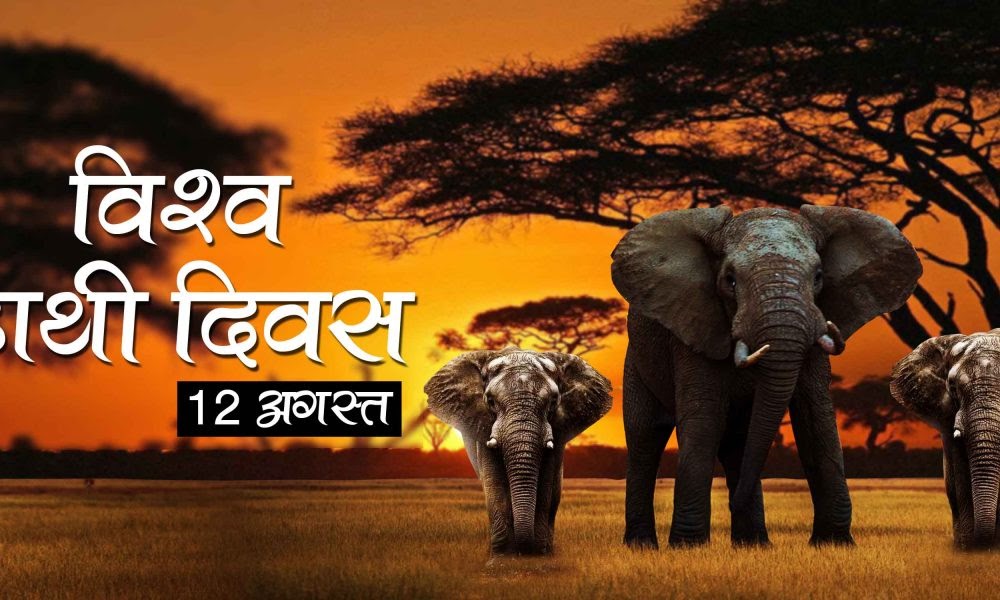 world-elephant-day