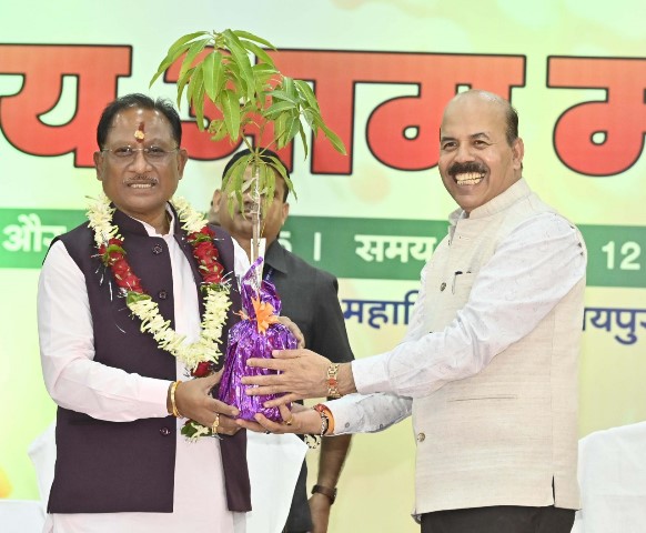 aam ki kheti