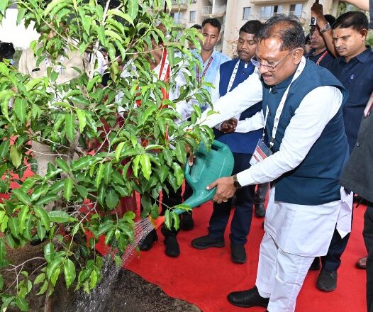 रायपुर : मुख्यमंत्री ने आईआईएम रायपुर परिसर में किया सुशासन वाटिका का शुभारंभ