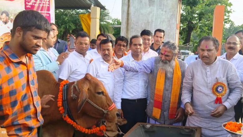 रायपुर : 75 आदिवासी महिला किसानों को दी गई दुधारू गायें: राज्य के छह जिलों में दुधारू पशु प्रदाय योजना का पायलट प्रोजेक्ट शुरू