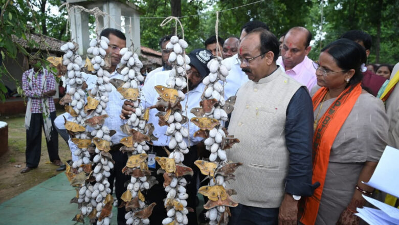 रेशम उत्पादन में छत्तीसगढ़ को लाना है पहले पायदान पर – अरुण साव