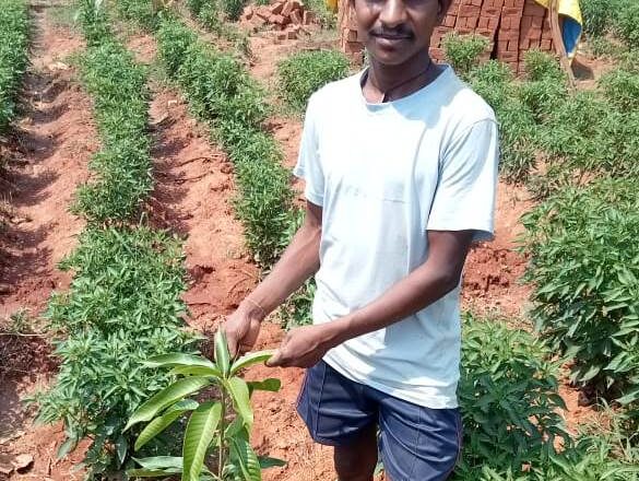 मिर्च की खेती से किसान सायो को मिला आमदनी का नया रास्ता