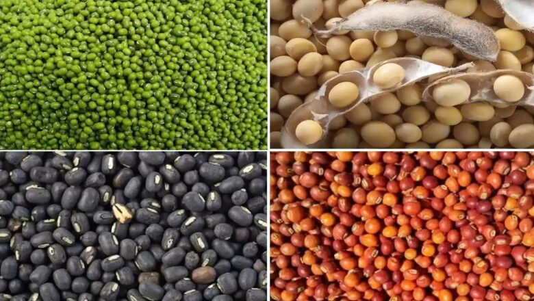 पीएम आशा योजना से दलहन-तिलहन की होगी समर्थन मूल्य पर खरीदी